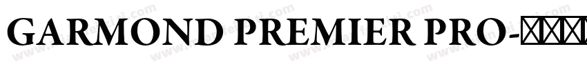 GARMOND PREMIER PRO字体转换